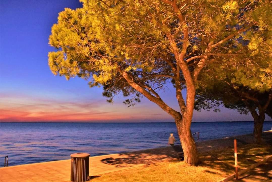 Apartma 1 And 2 Appartments * Pirano